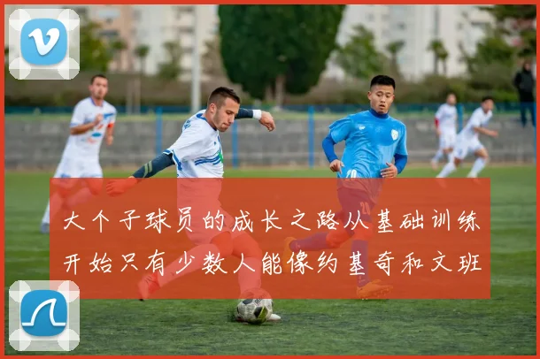 大个子球员的成长之路从基础训练开始只有少数人能像约基奇和文班那样成功
